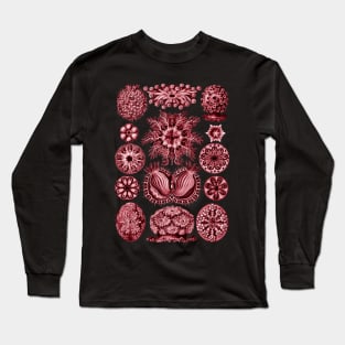 Ernst Haeckel  Ascidiae Sea Squirts Red Long Sleeve T-Shirt